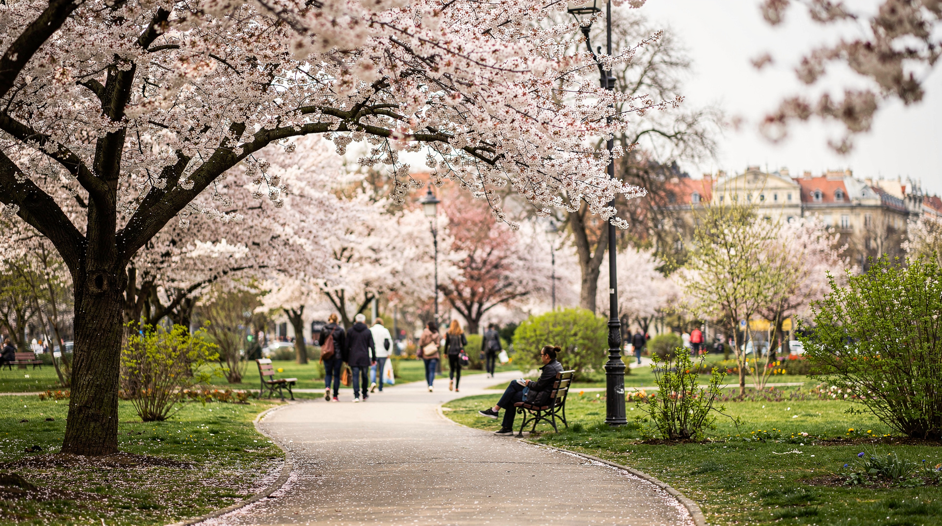 Budapest im Frühling: was Sie im April und Mai erwartet — Budapest im Frühling: Wetter im April und Mai, das Budapester Frühlingsfestival,
